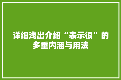 详细浅出介绍“表示很”的多重内涵与用法