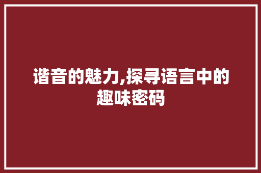 谐音的魅力,探寻语言中的趣味密码