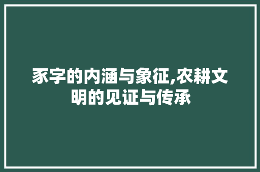 豕字的内涵与象征,农耕文明的见证与传承 应用文
