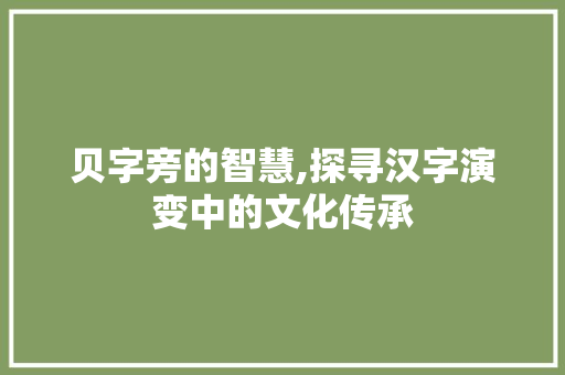 贝字旁的智慧,探寻汉字演变中的文化传承