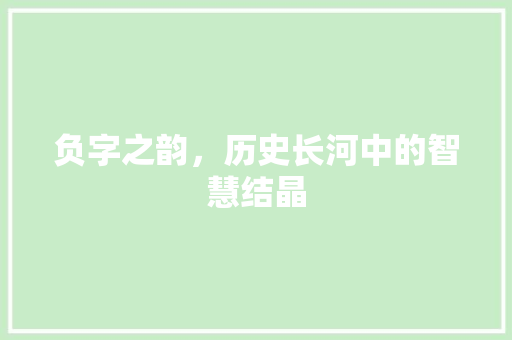 负字之韵，历史长河中的智慧结晶