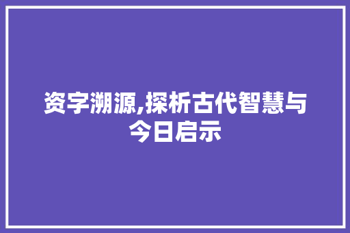 资字溯源,探析古代智慧与今日启示