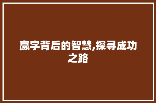 赢字背后的智慧,探寻成功之路
