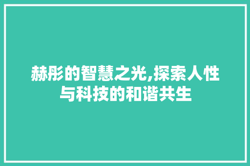 赫彤的智慧之光,探索人性与科技的和谐共生