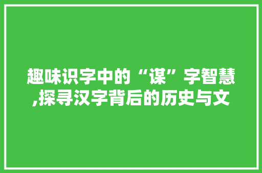 趣味识字中的“谋”字智慧,探寻汉字背后的历史与文化
