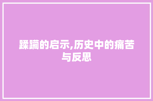 蹂躏的启示,历史中的痛苦与反思