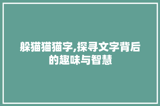 躲猫猫猫字,探寻文字背后的趣味与智慧 项目报告