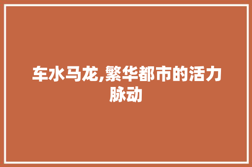 车水马龙,繁华都市的活力脉动