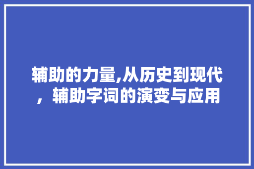 辅助的力量,从历史到现代，辅助字词的演变与应用