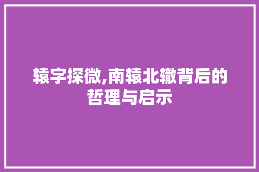 辕字探微,南辕北辙背后的哲理与启示