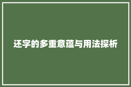 还字的多重意蕴与用法探析