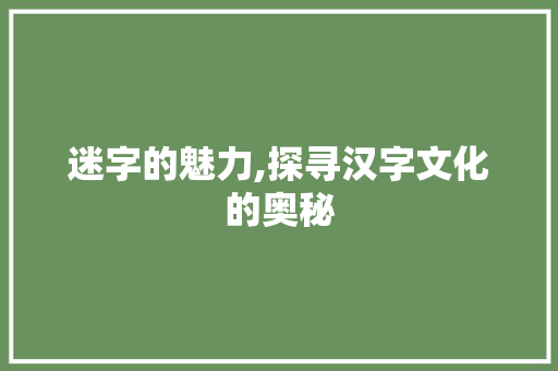 迷字的魅力,探寻汉字文化的奥秘 项目报告