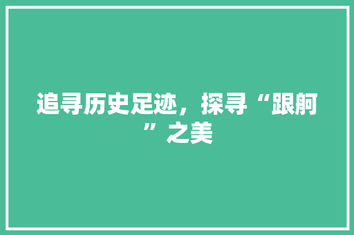 追寻历史足迹，探寻“跟舸”之美