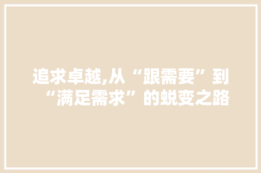 追求卓越,从“跟需要”到“满足需求”的蜕变之路