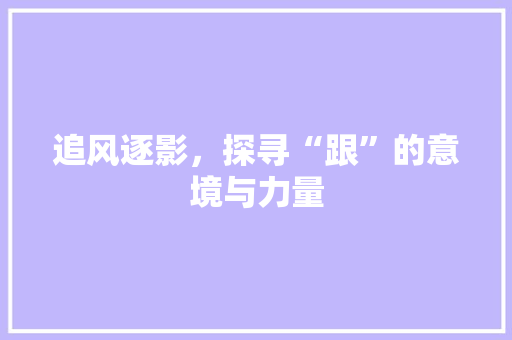 追风逐影，探寻“跟”的意境与力量