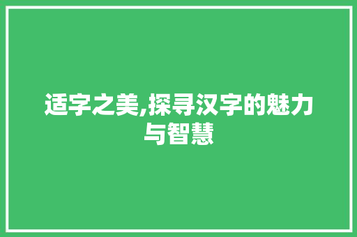 适字之美,探寻汉字的魅力与智慧
