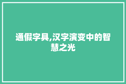 通假字具,汉字演变中的智慧之光