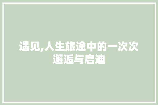 遇见,人生旅途中的一次次邂逅与启迪
