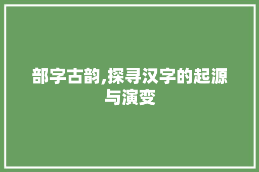 部字古韵,探寻汉字的起源与演变