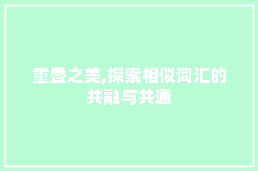 重叠之美,探索相似词汇的共融与共通