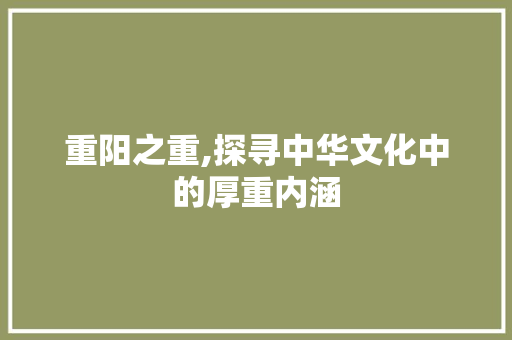 重阳之重,探寻中华文化中的厚重内涵 应用文