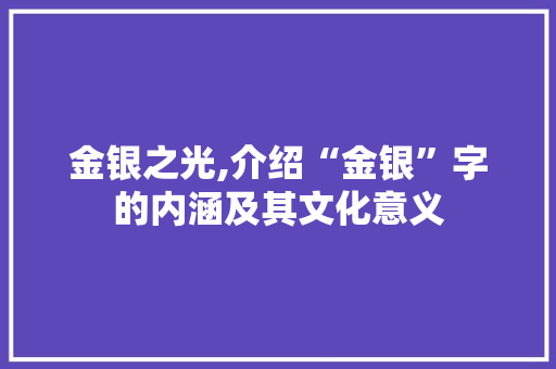 金银之光,介绍“金银”字的内涵及其文化意义