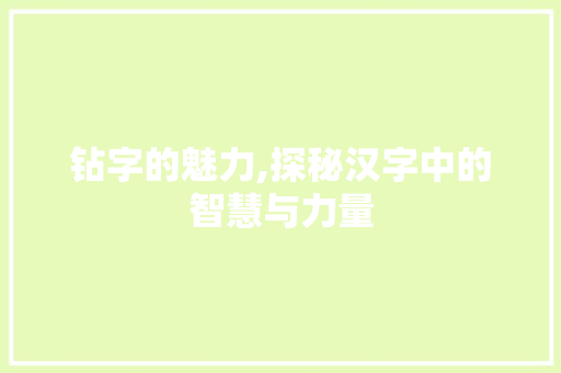 钻字的魅力,探秘汉字中的智慧与力量
