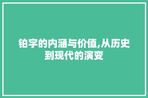 铂字的内涵与价值,从历史到现代的演变