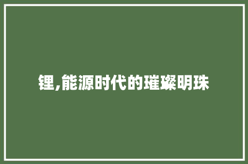 锂,能源时代的璀璨明珠