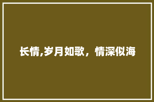 长情,岁月如歌，情深似海