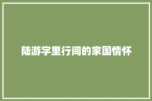陆游字里行间的家国情怀