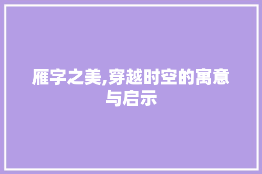 雁字之美,穿越时空的寓意与启示