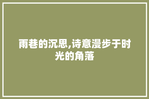 雨巷的沉思,诗意漫步于时光的角落