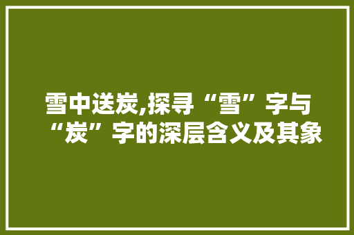 雪中送炭,探寻“雪”字与“炭”字的深层含义及其象征意义