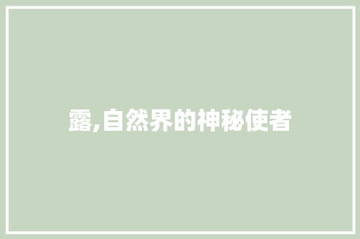 露,自然界的神秘使者