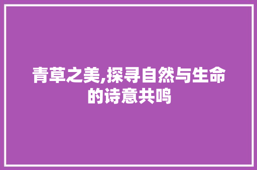 青草之美,探寻自然与生命的诗意共鸣