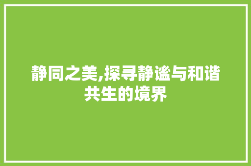 静同之美,探寻静谧与和谐共生的境界
