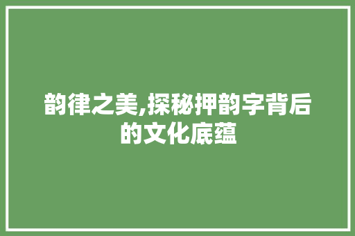 韵律之美,探秘押韵字背后的文化底蕴