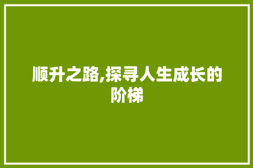 顺升之路,探寻人生成长的阶梯