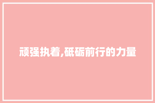 顽强执着,砥砺前行的力量