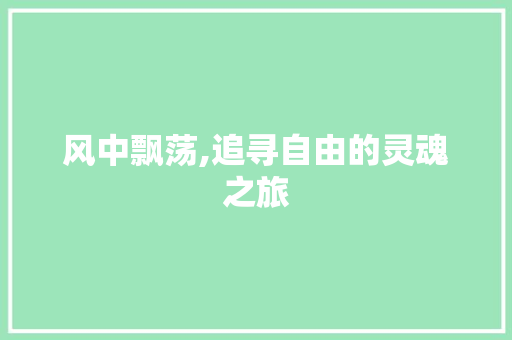 风中飘荡,追寻自由的灵魂之旅
