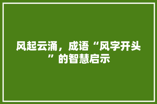 风起云涌，成语“风字开头”的智慧启示