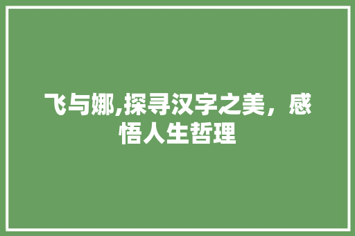 飞与娜,探寻汉字之美，感悟人生哲理