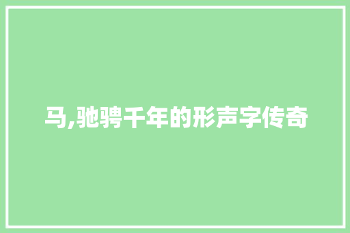 马,驰骋千年的形声字传奇