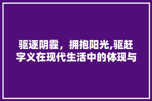 驱逐阴霾，拥抱阳光,驱赶字义在现代生活中的体现与应用