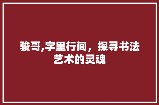 骏哥,字里行间，探寻书法艺术的灵魂