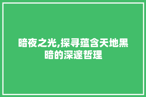 暗夜之光,探寻蕴含天地黑暗的深邃哲理