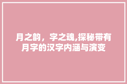 月之韵，字之魂,探秘带有月字的汉字内涵与演变