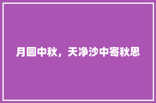 月圆中秋，天净沙中寄秋思 社交媒体