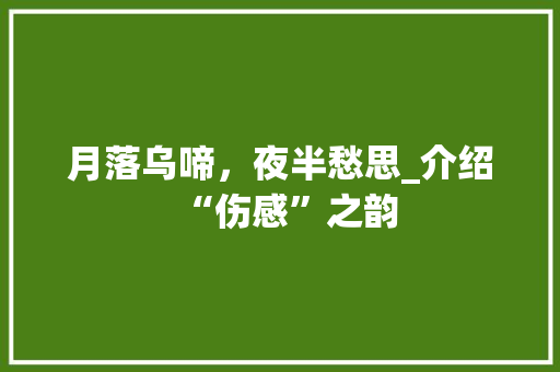 月落乌啼，夜半愁思_介绍“伤感”之韵